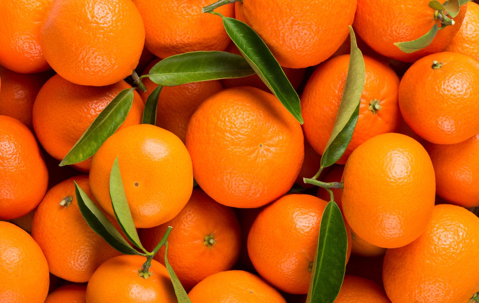IZ FEDERALNE UPRAVE ZA INSPEKCIJSKE POSLOVE: Pojačane kontrole pri uvozu mandarina