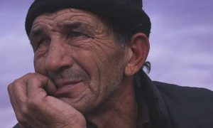 Zdravko, U potrazi za konjima