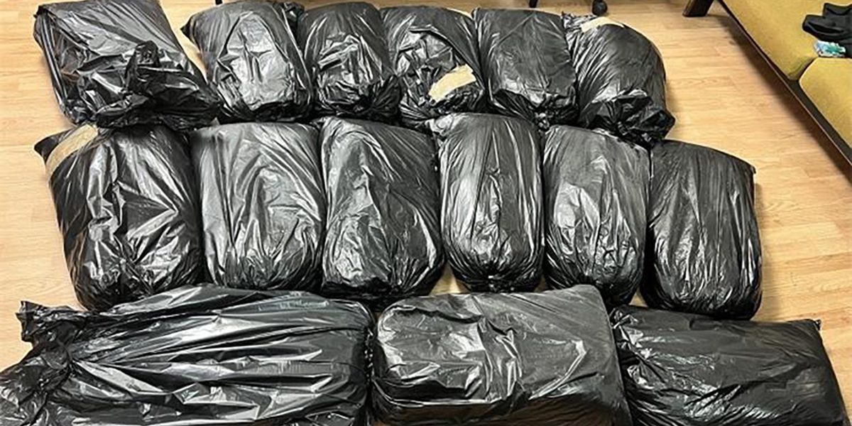 droga, zaplijenjena roba, carina