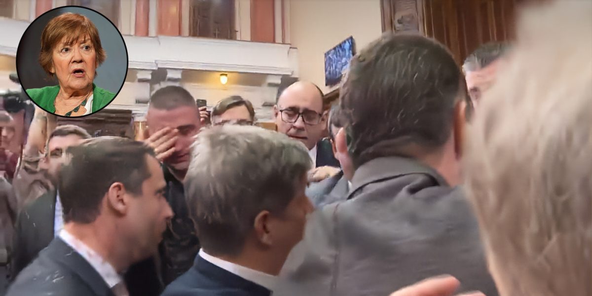 skupstina srbije, vesna pešić