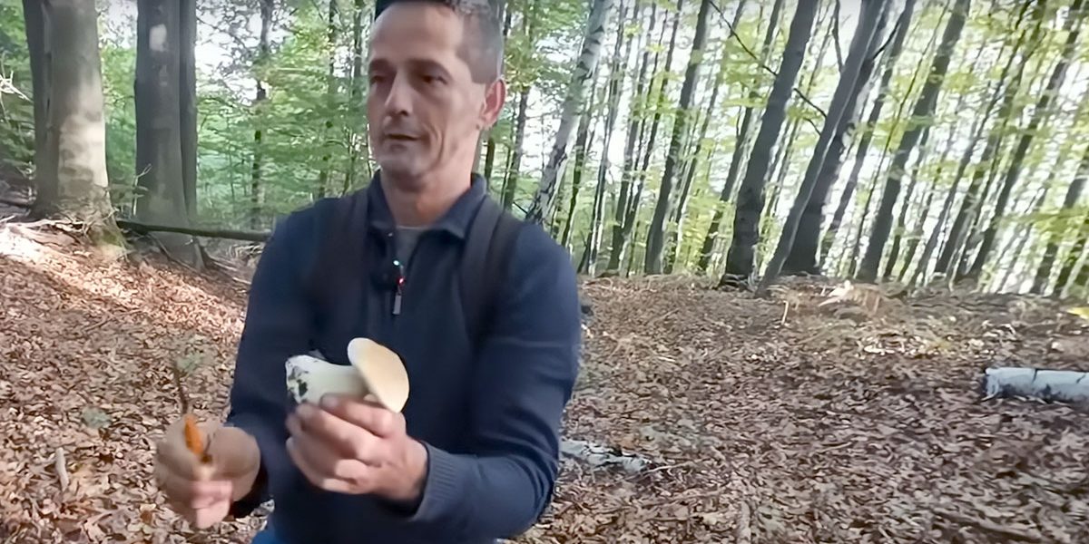 Marko_skuplja vrganje