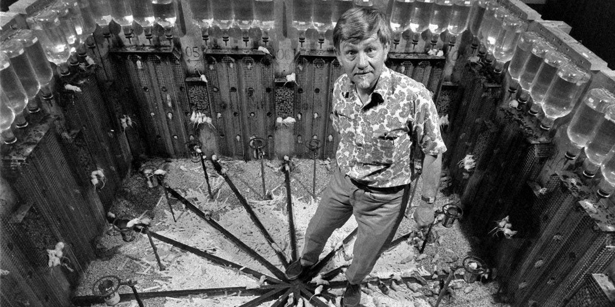 universe 25, eksperiment s miševima