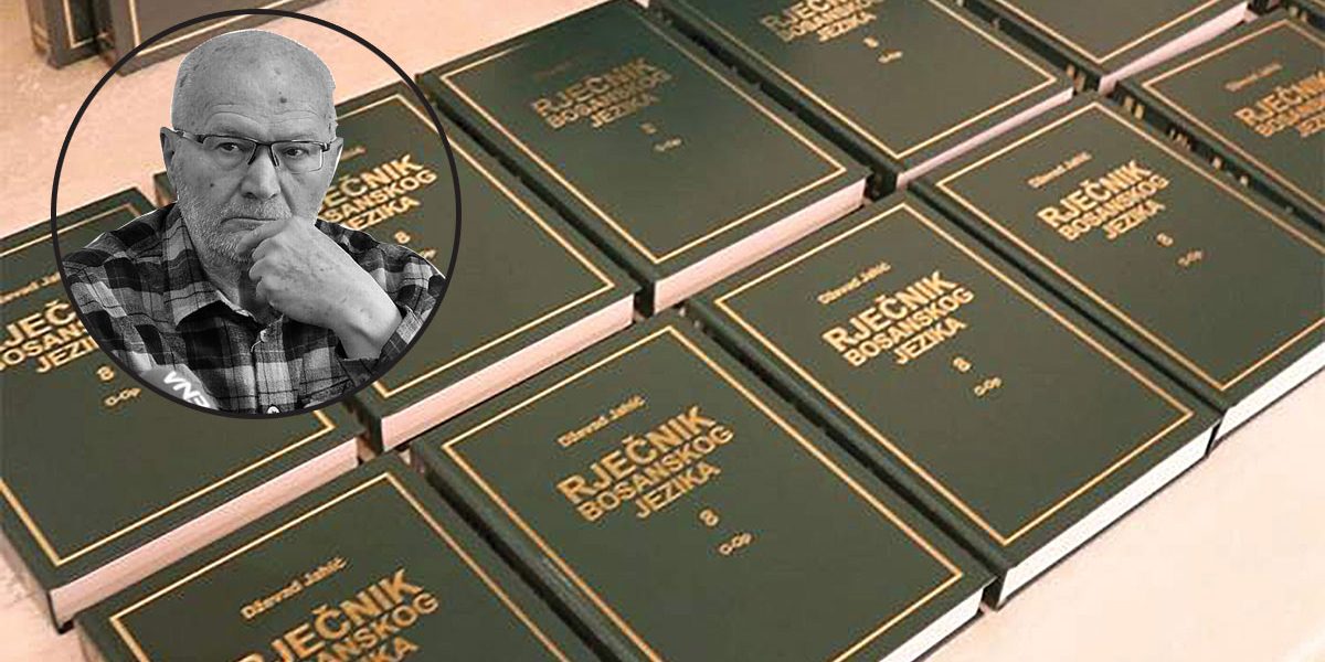 rječnik bosanskog jezika