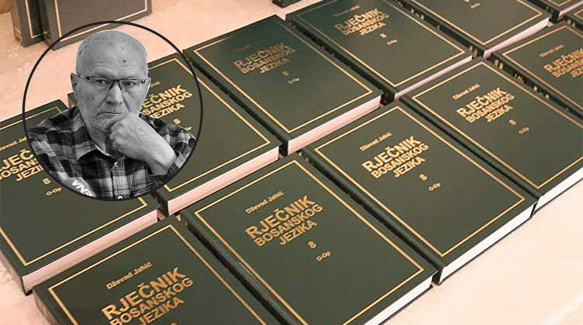rječnik bosanskog jezika