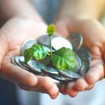 Ekologija_ilustracija