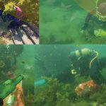 Ronioci, Spectrum Bihać