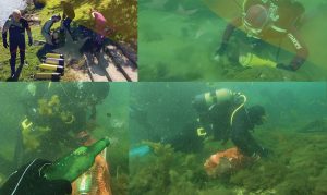 Ronioci, Spectrum Bihać