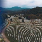 Vukovar_Srebrenica, XV. Ultramaraton