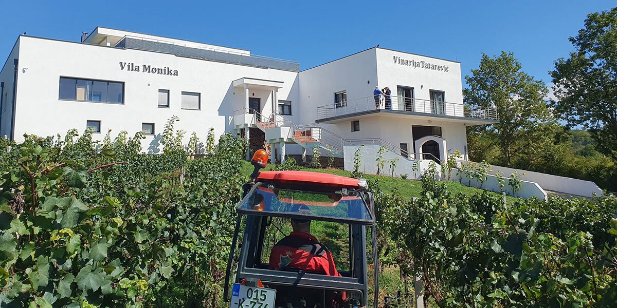 Vinarija Tatarević