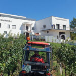 Vinarija Tatarević