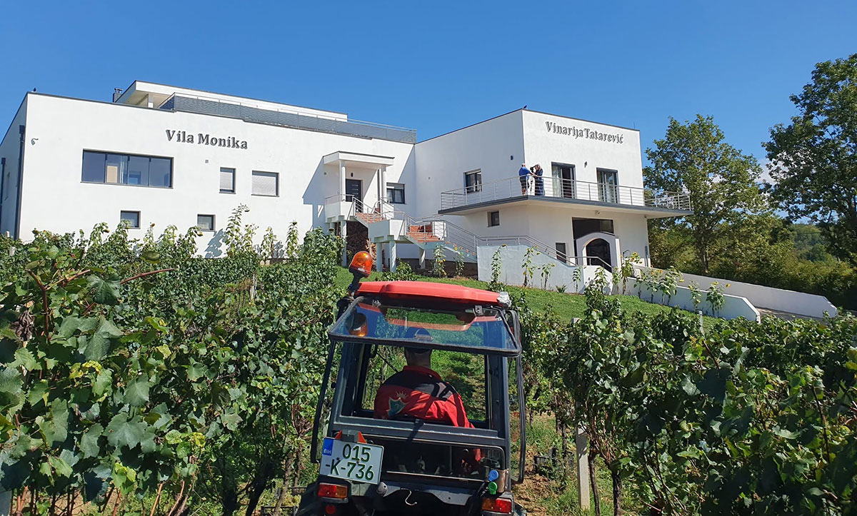 Vinarija Tatarević